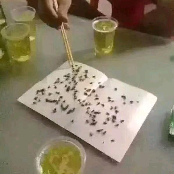 你想信光么
