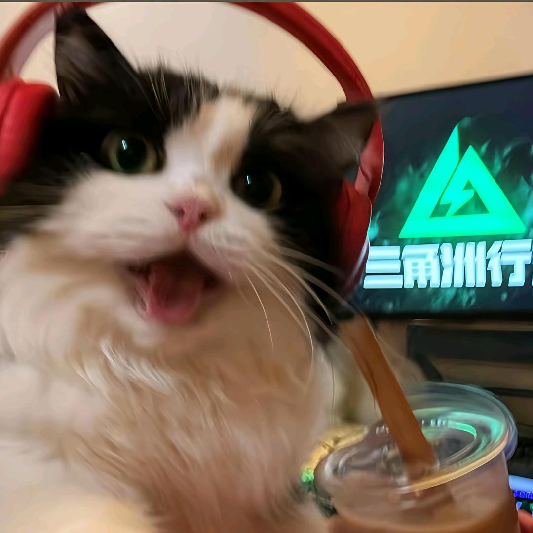 一只熬夜的熊猫。