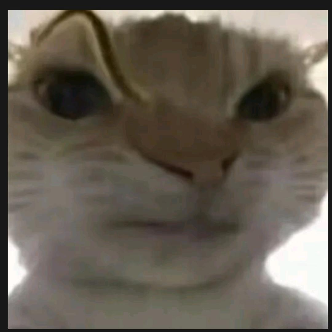 九离（绘画版.jpd#求关注）