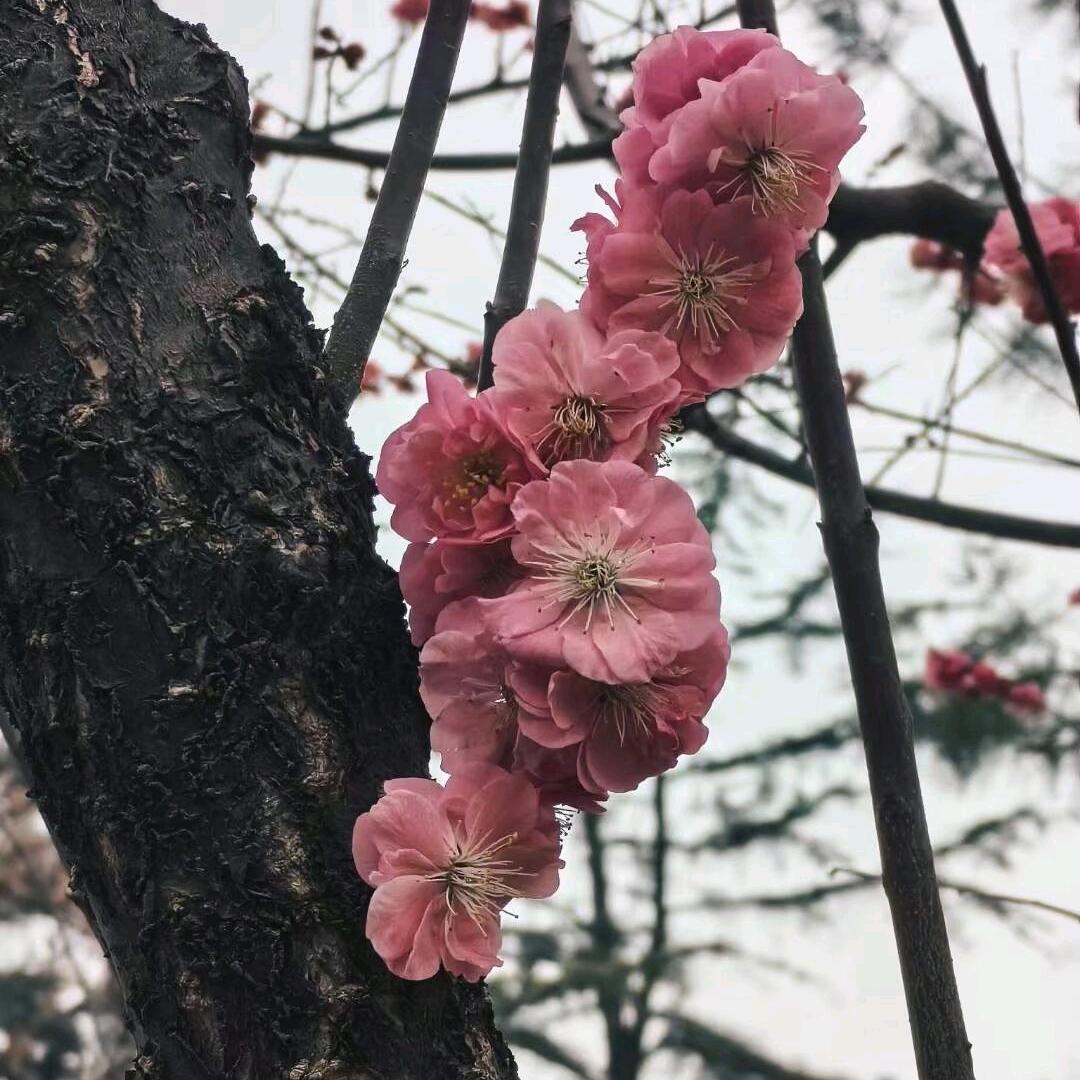 川027