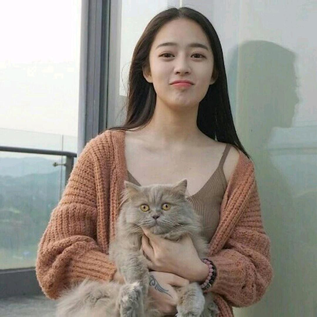 朱紫涵