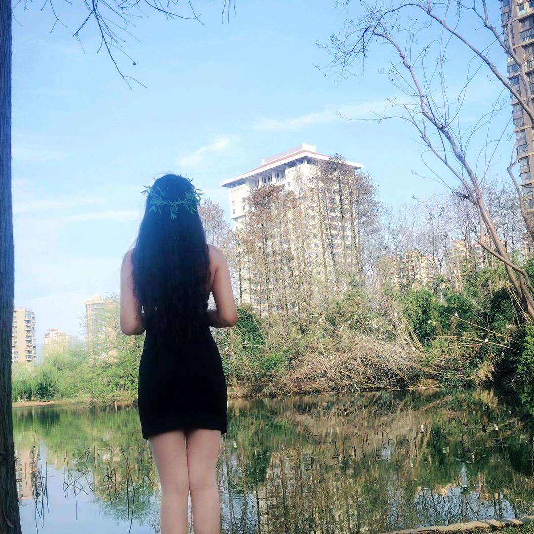花儿