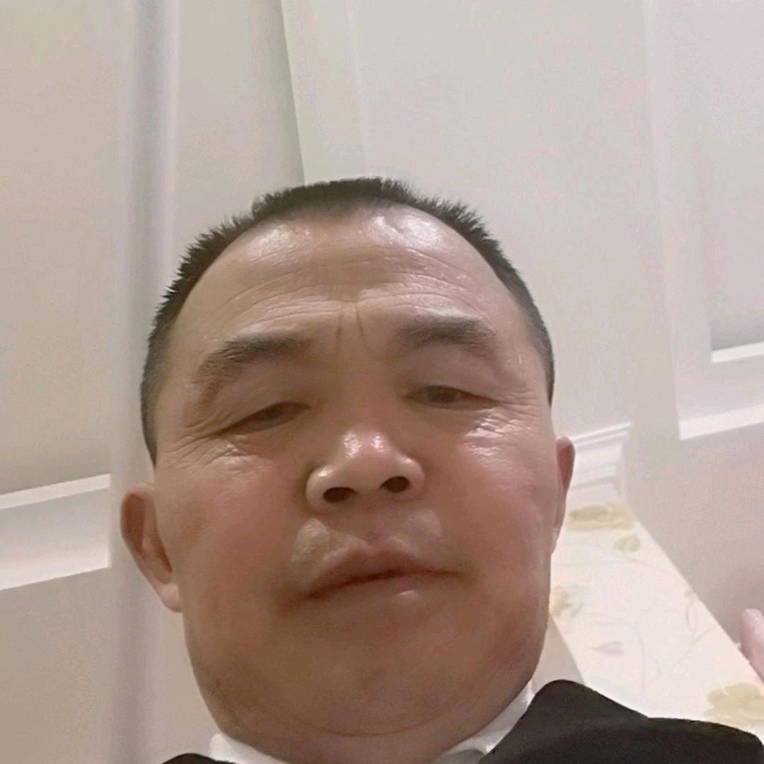 柳岸花鸣