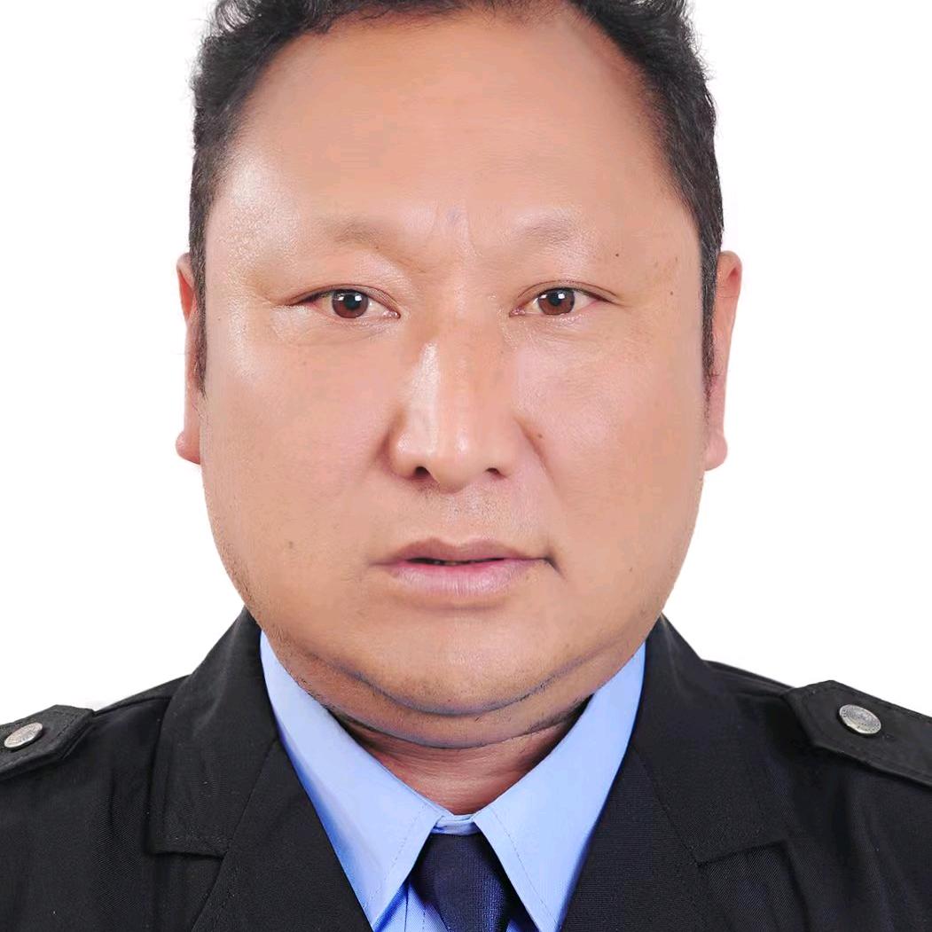 六六大帅