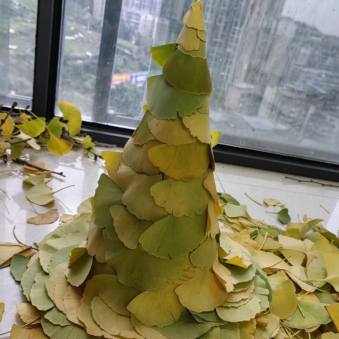 绵绵