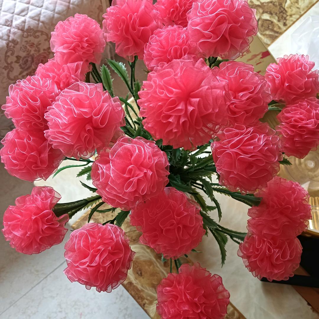蒙蒙