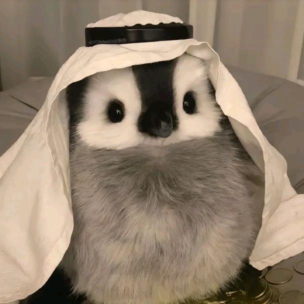 啊偶鹅 a o e