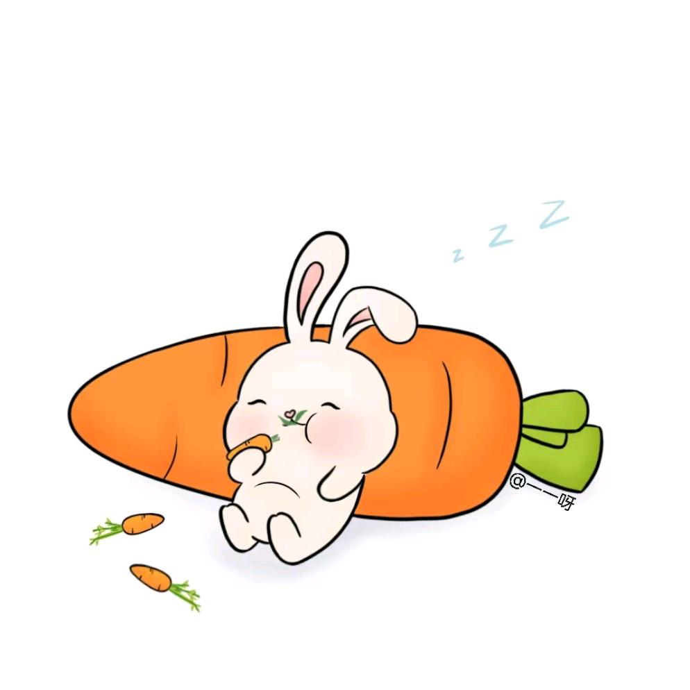 暖洋兔兔🐰在奋斗