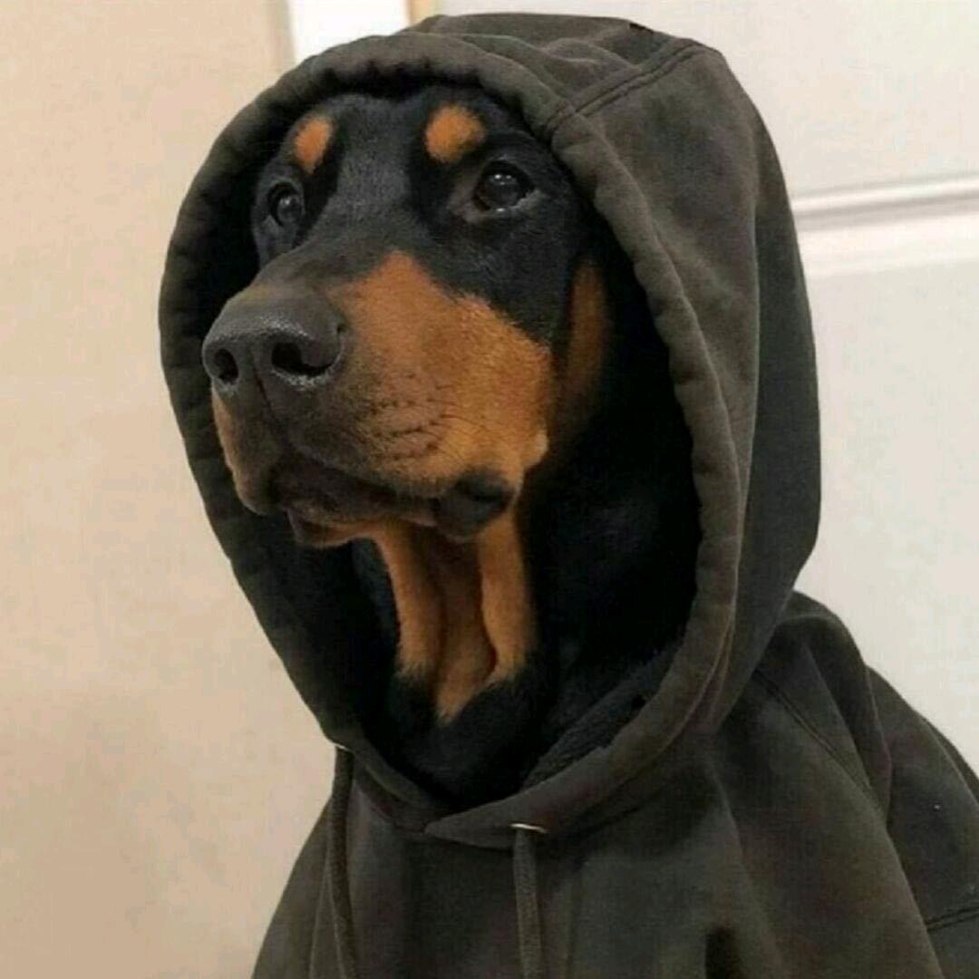Lᴷᴷ