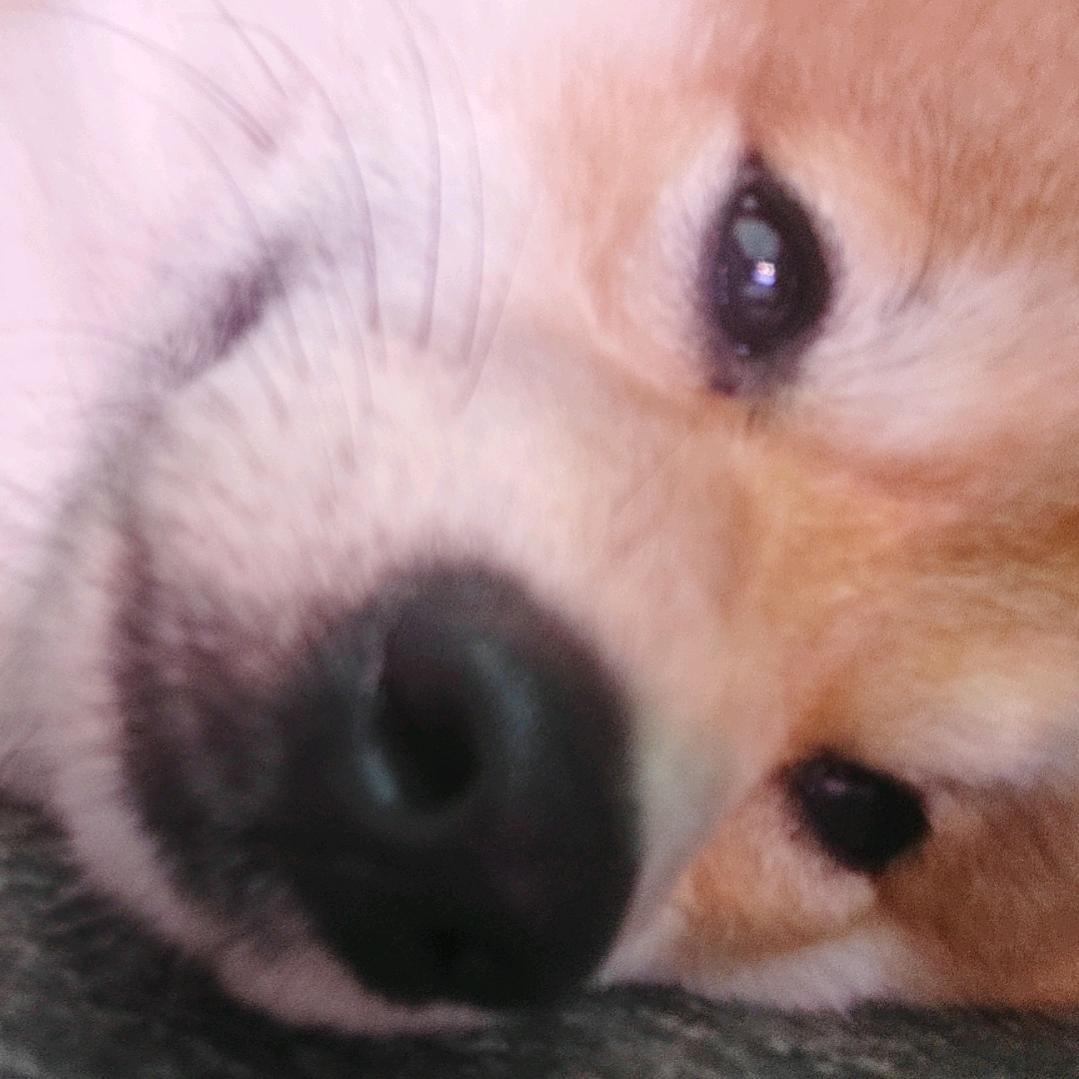 宝宝