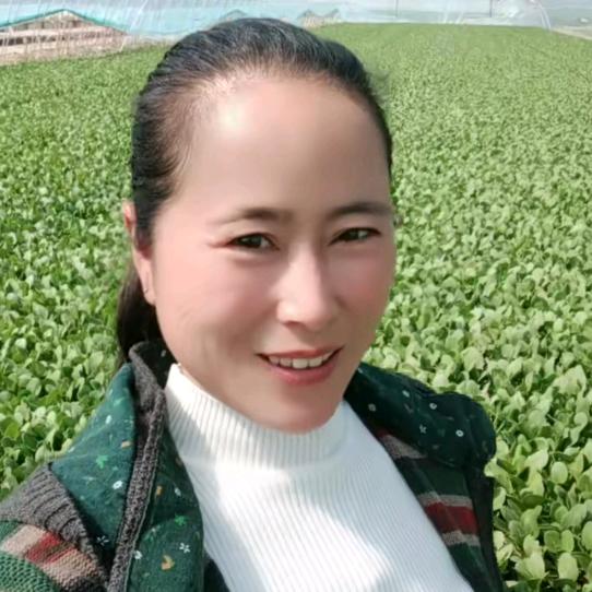 阳光里晒干了回忆