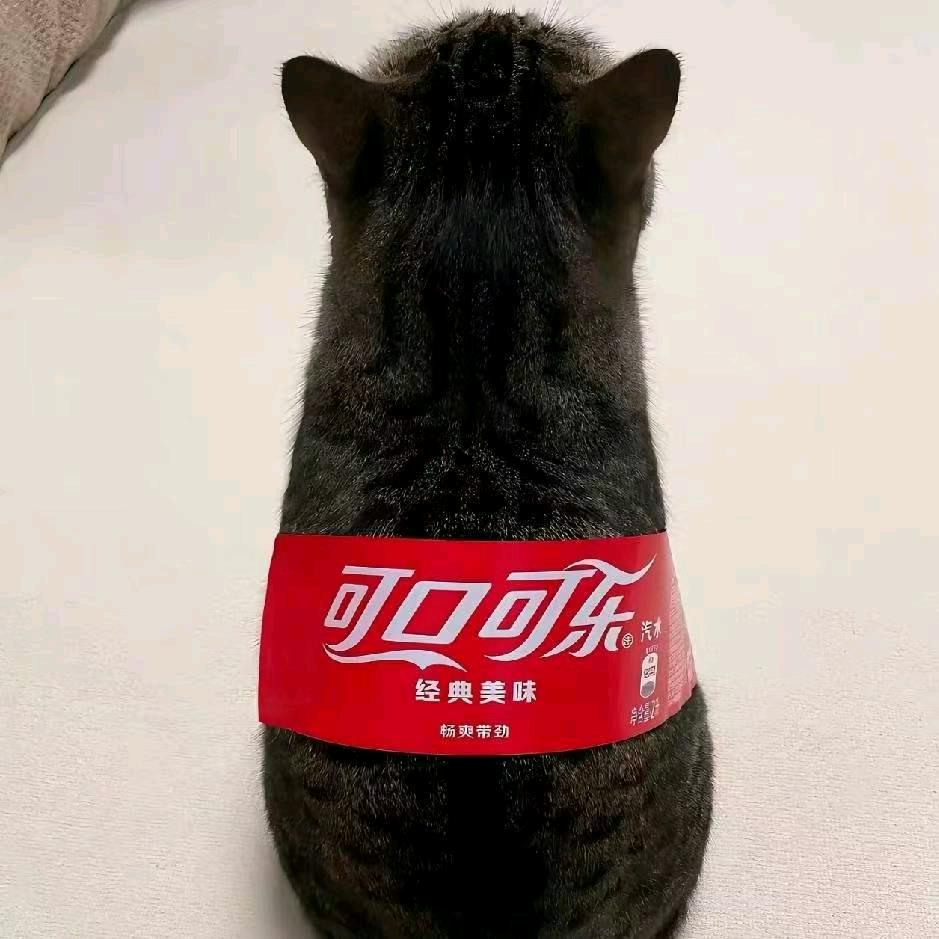 猫猫八嘎酱！