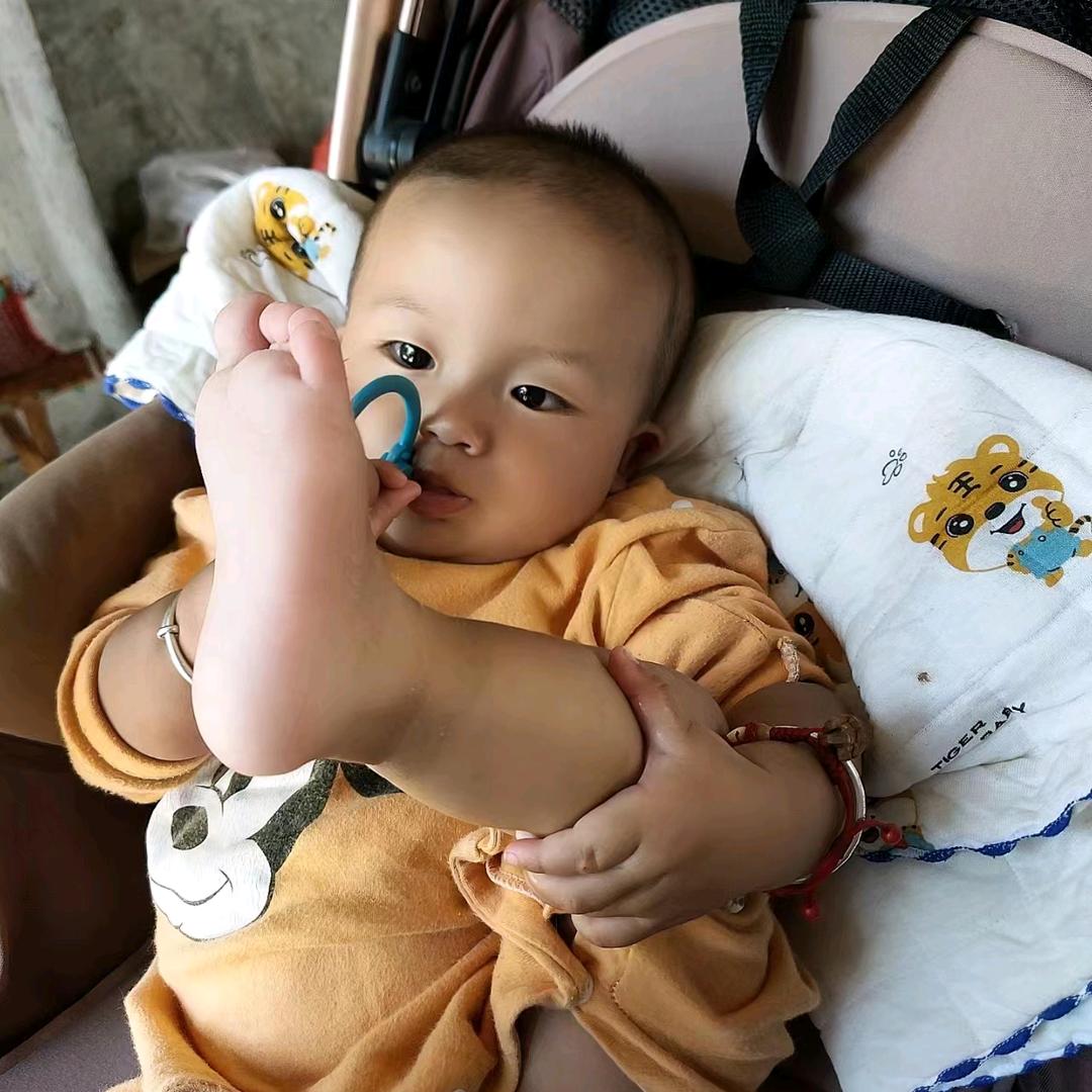 🐓不离不弃🐯