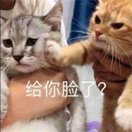 一只只的小苏打