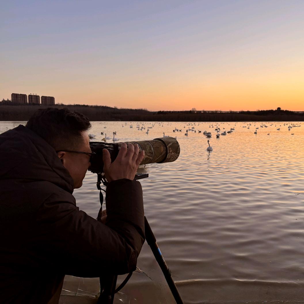 驾驭者（租售各种纯电动厢式货车）