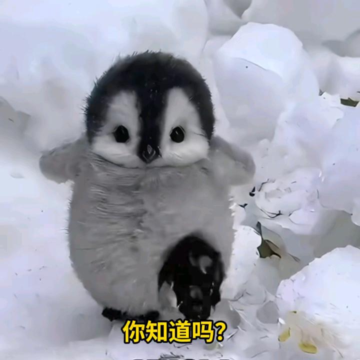 蓝色的夜