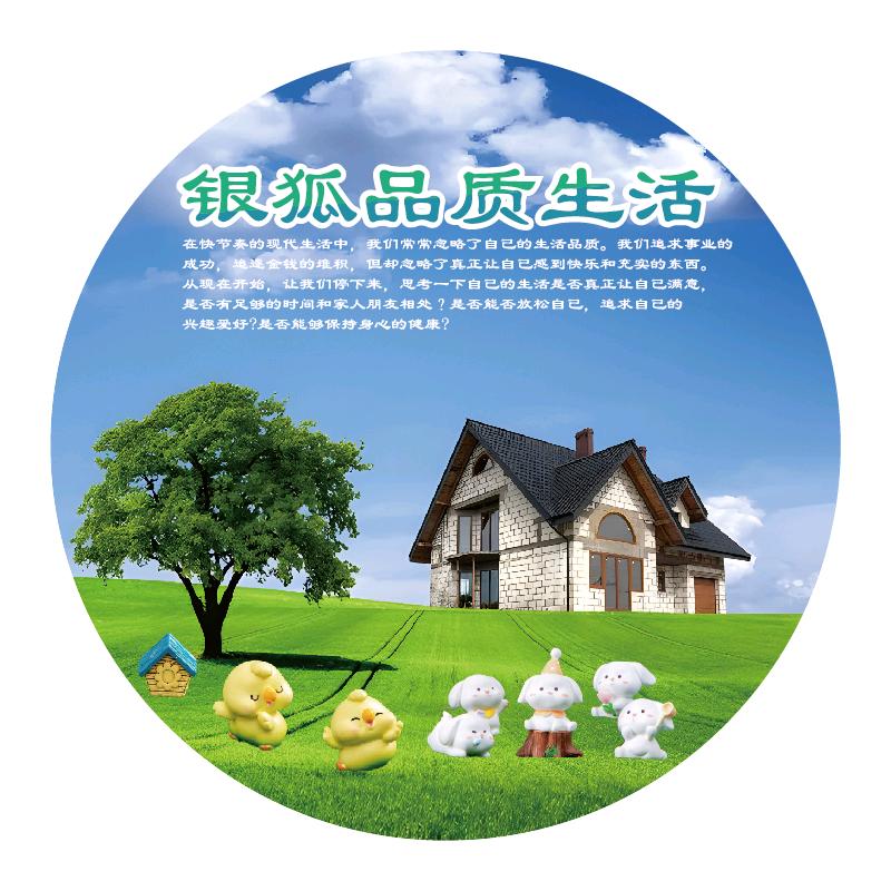 银狐商贸有限公司