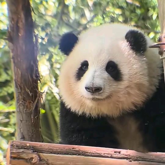 明泽天头像