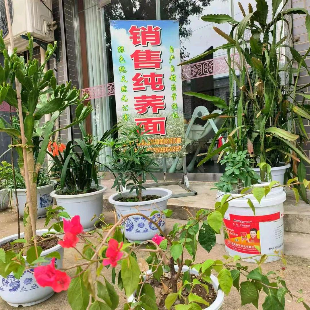 淳化荞面刘姐