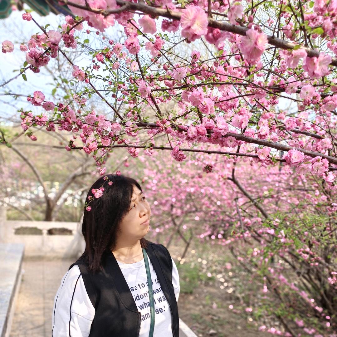 🦋ꦿ໊余生᭄🕊随心᭄ꦿᩚ٭