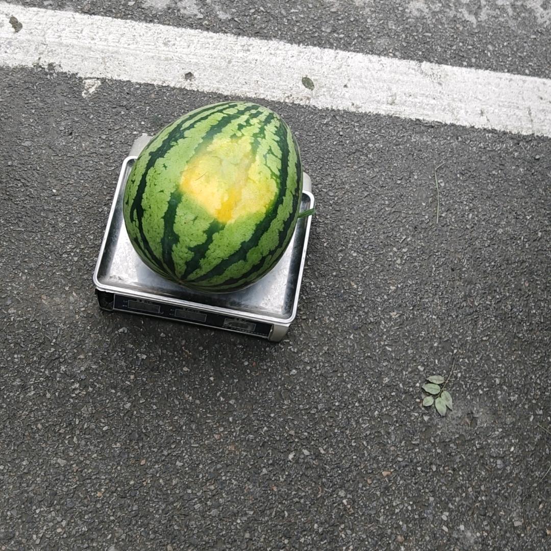 失去