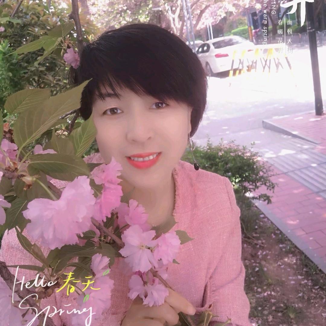 🍀杨柳🌟🍀🍀🍀