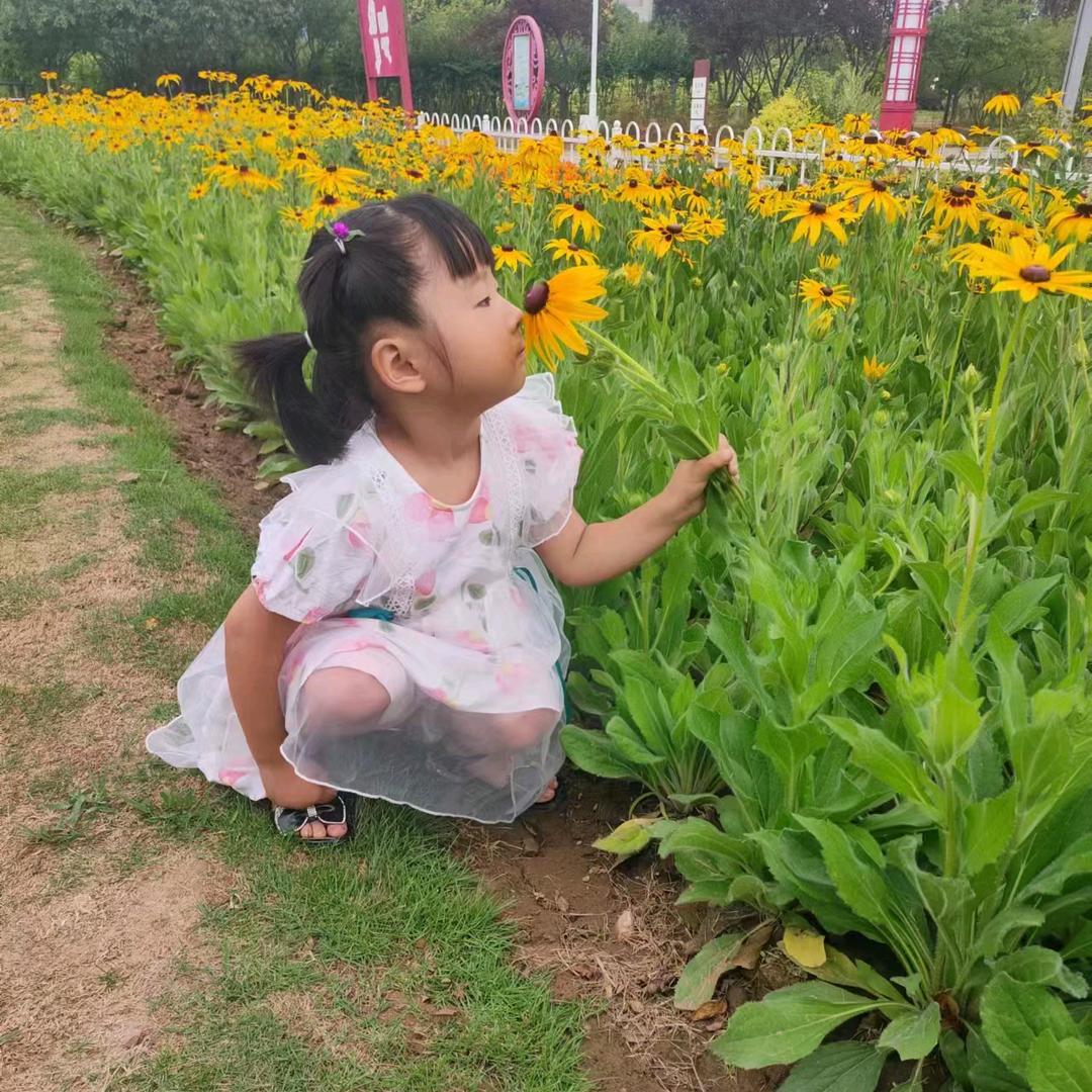 万事顺其自然