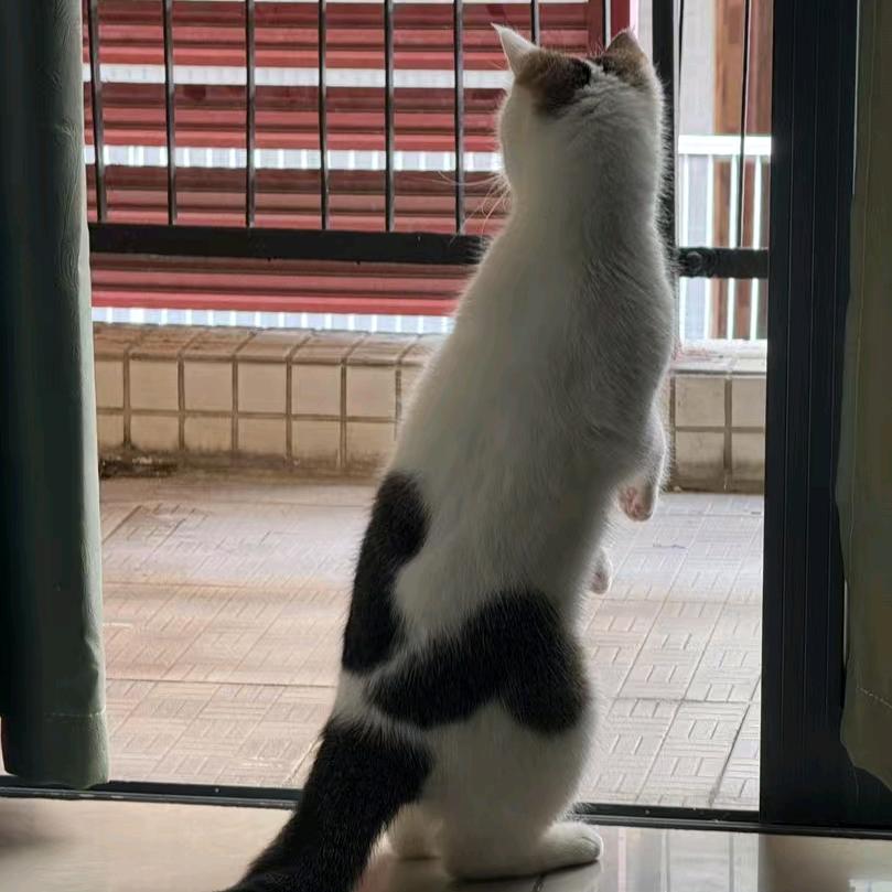 小蒋想睡觉
