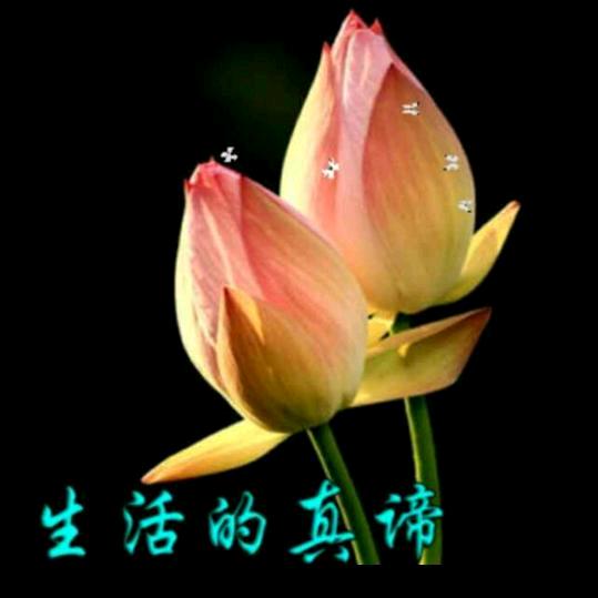 快乐的我
