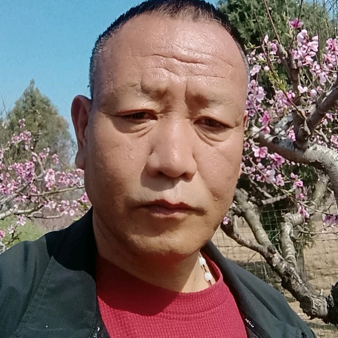 家和萬事興