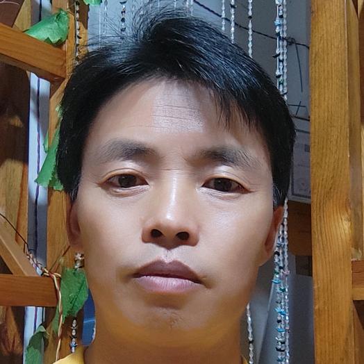 高枧槽驻村工作队杨朝兴