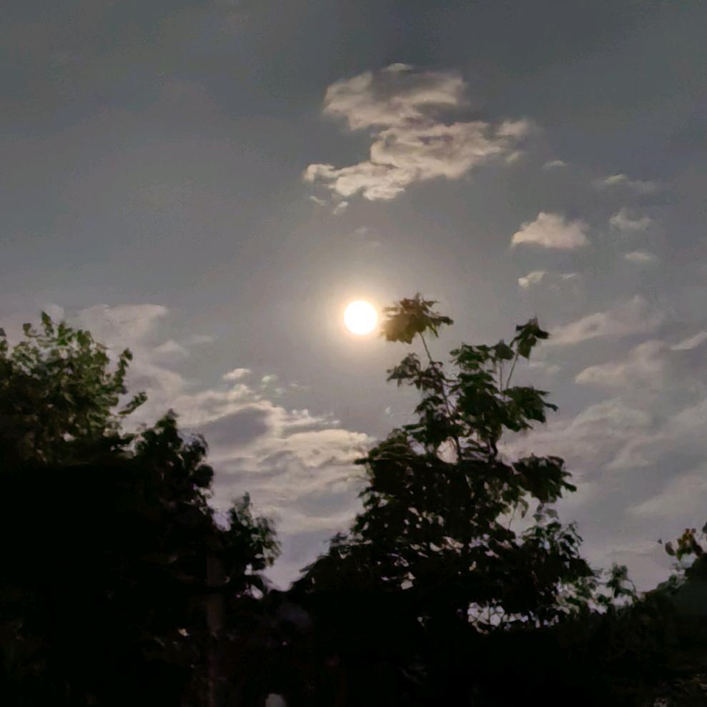 上帝视角俯瞰众生