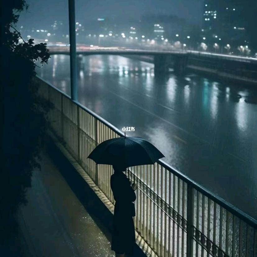 ꧁༺孤笙༻꧂ 找伴侣