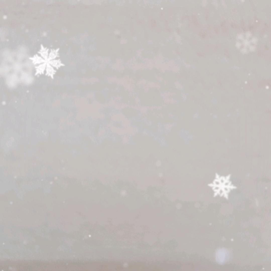 正在发货中。