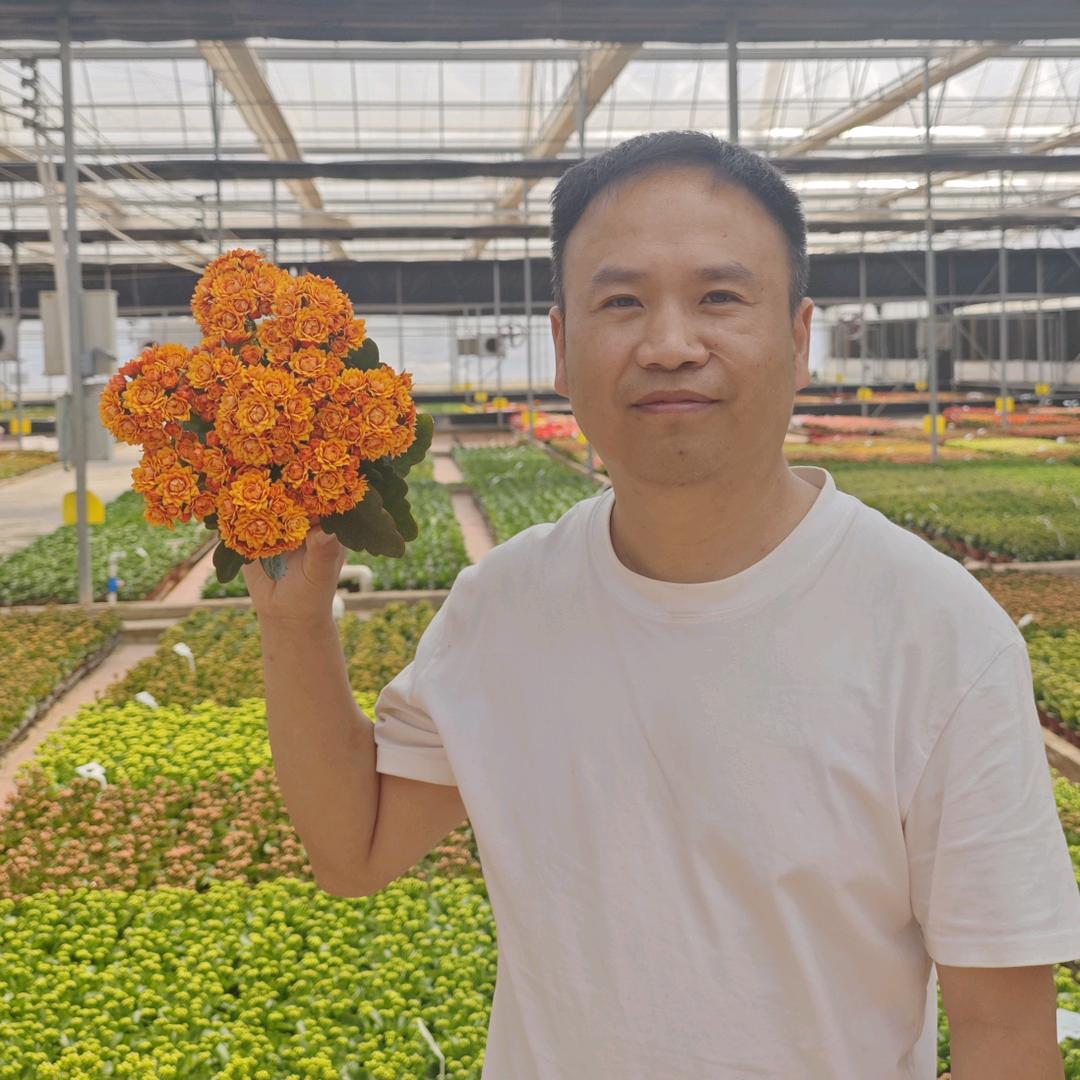小花匠(卷土重来)