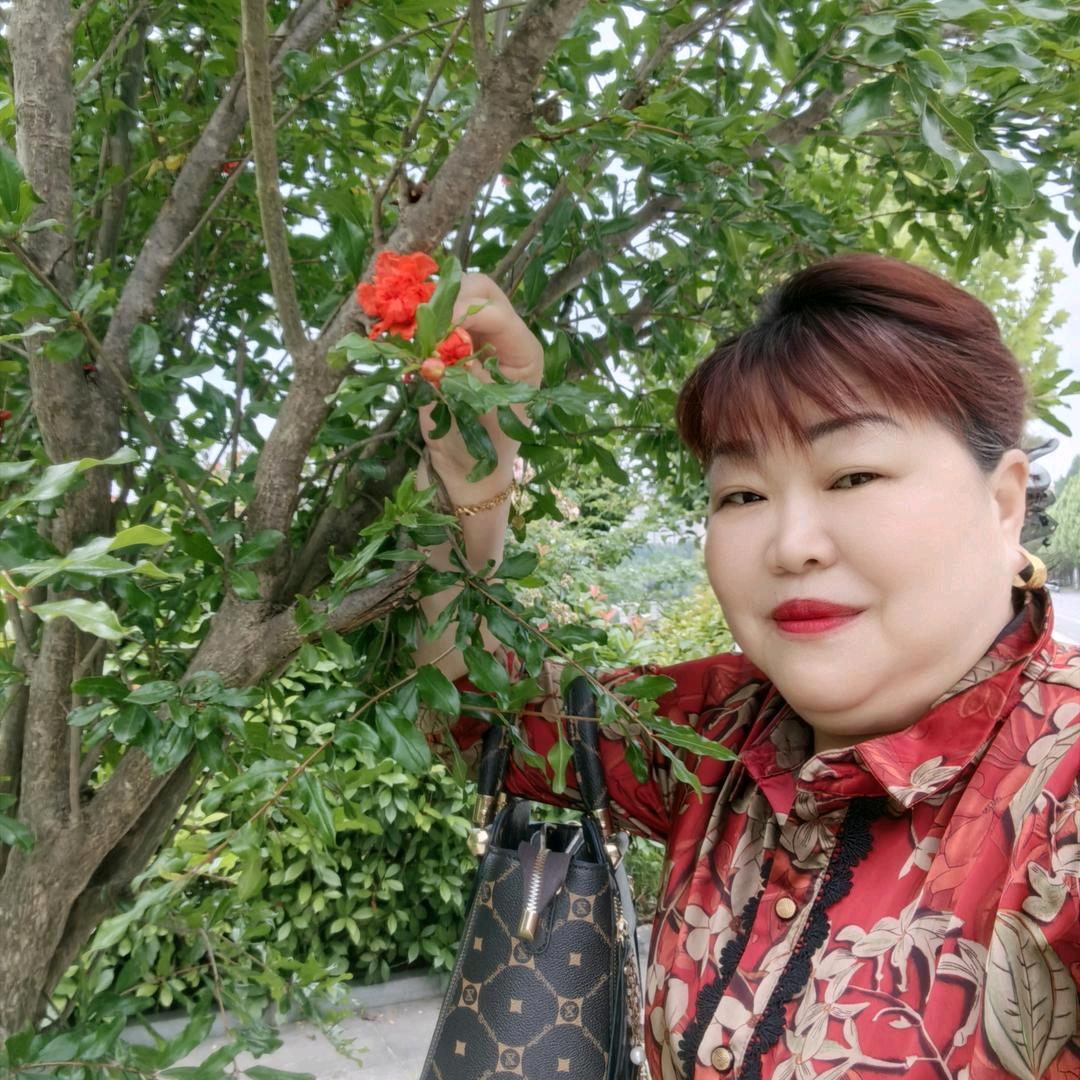 郧西诺贝尔