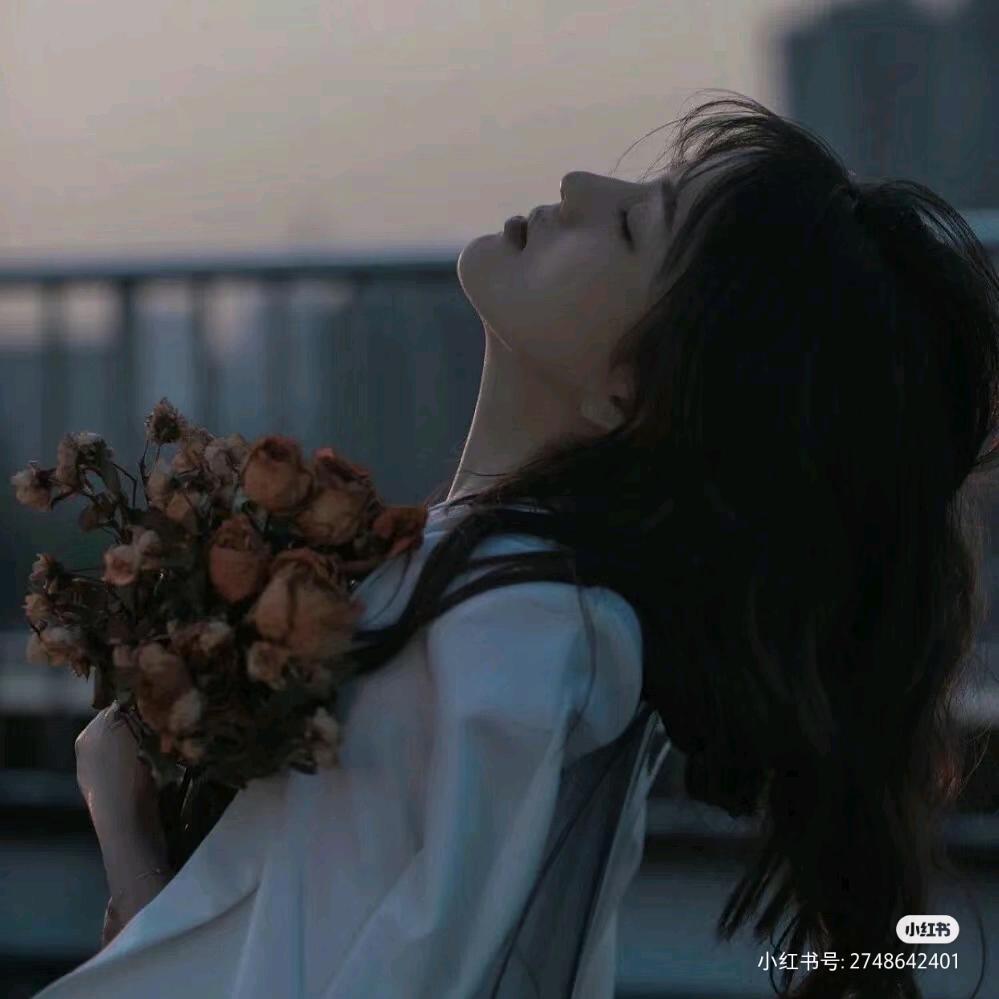 见月...