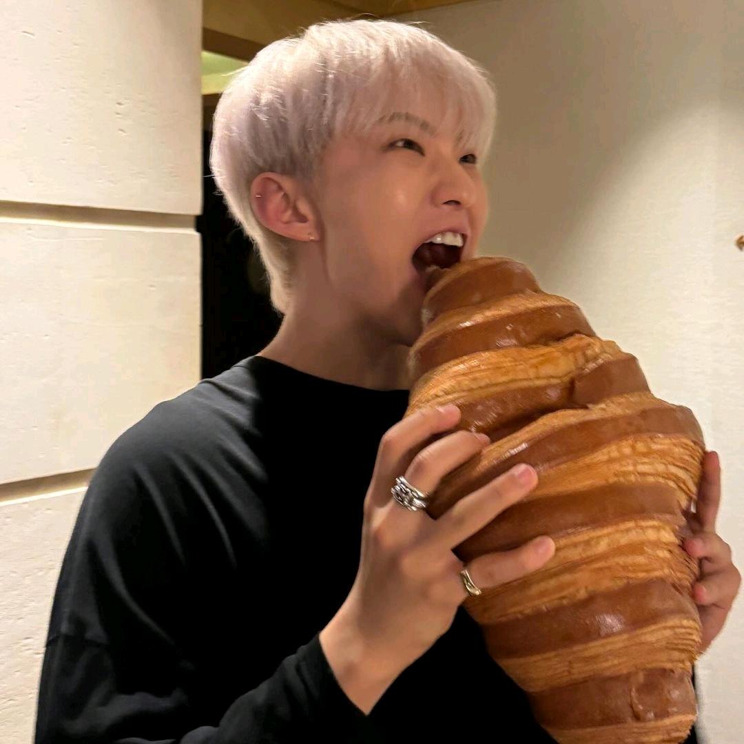 壳旯什🐚