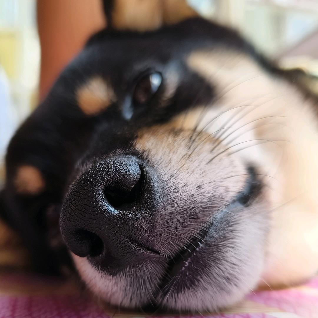 Roxy
