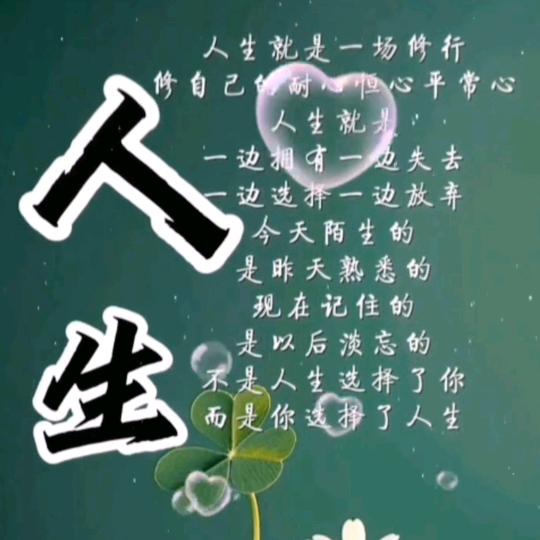 @喜爱   收藏