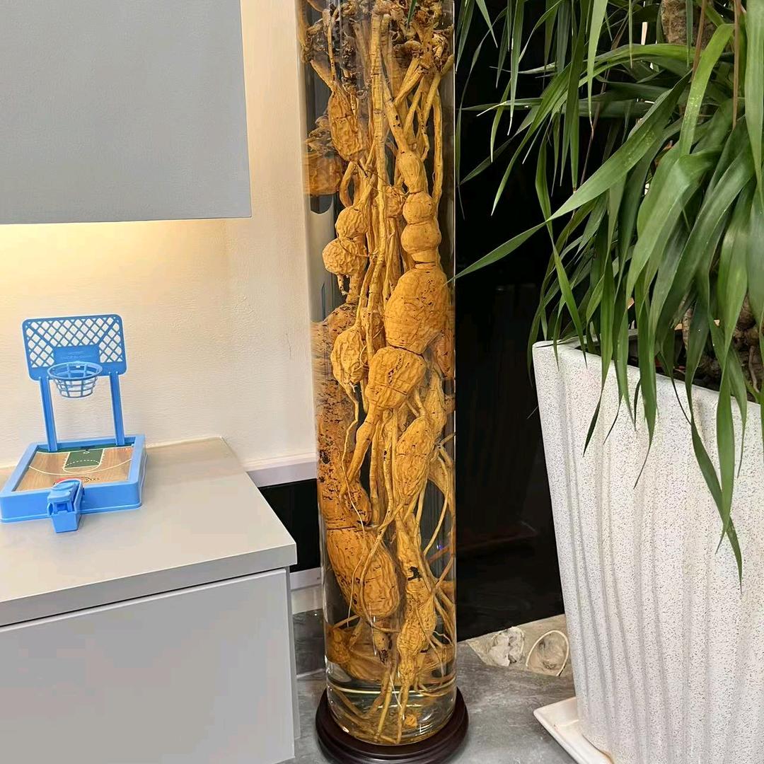 广西 豪表锅