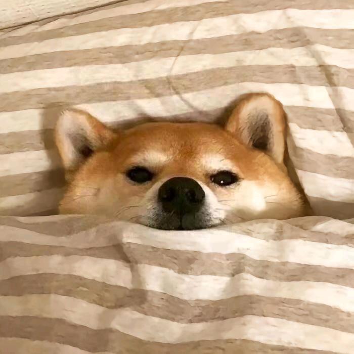忘