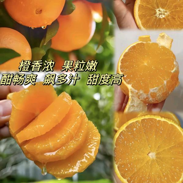 时光不可逆
