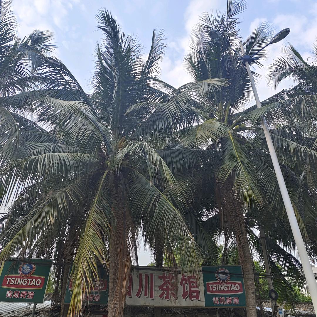 幻觉