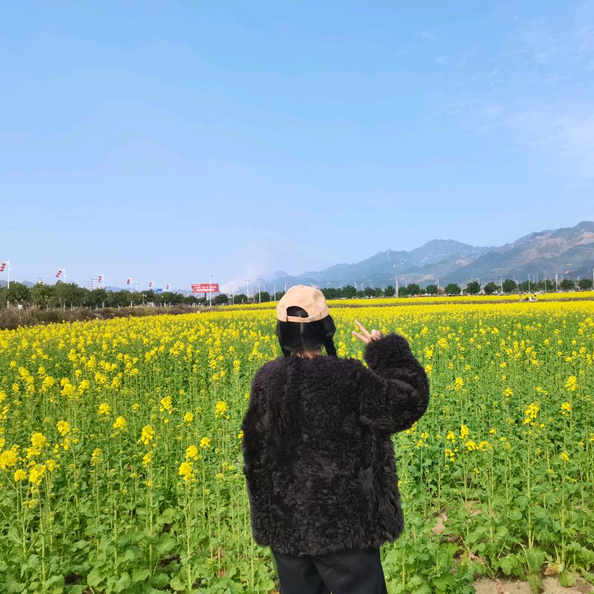 莉懿集团