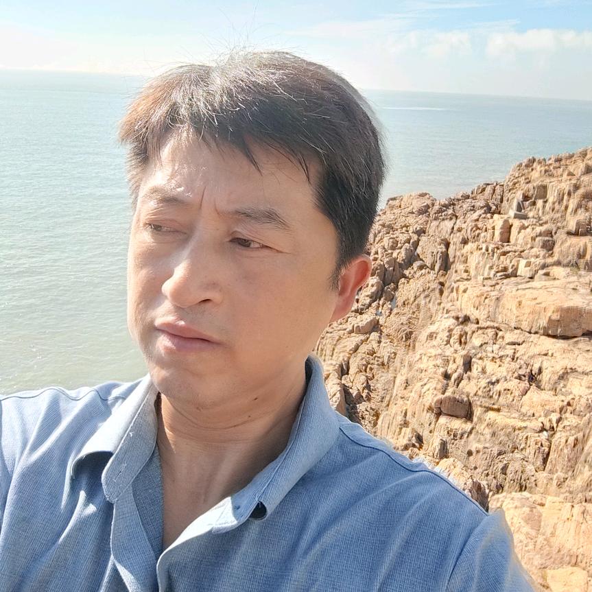 专业贴装李师傅