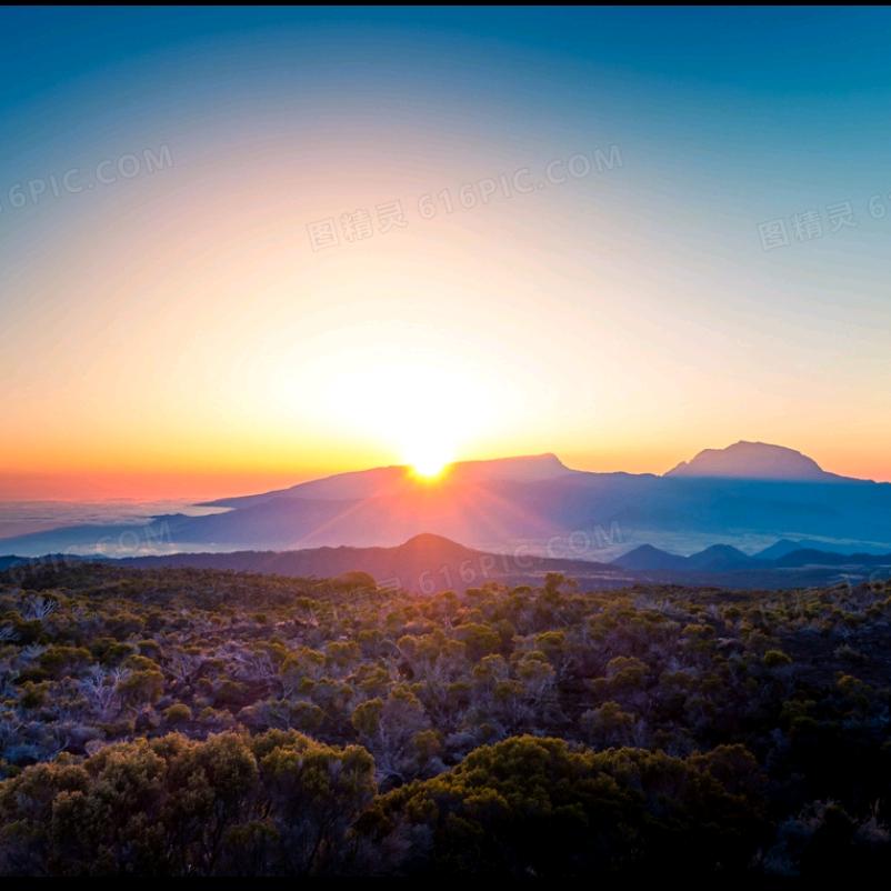 寻找希望的太阳