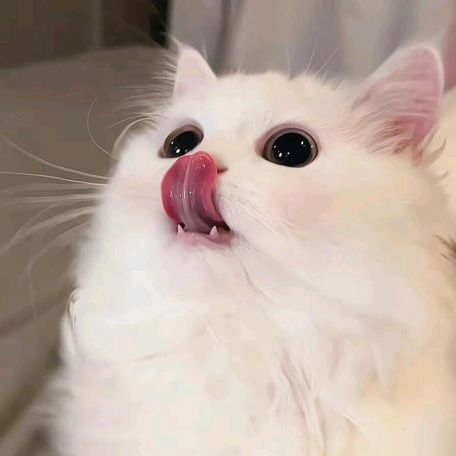 馨馨