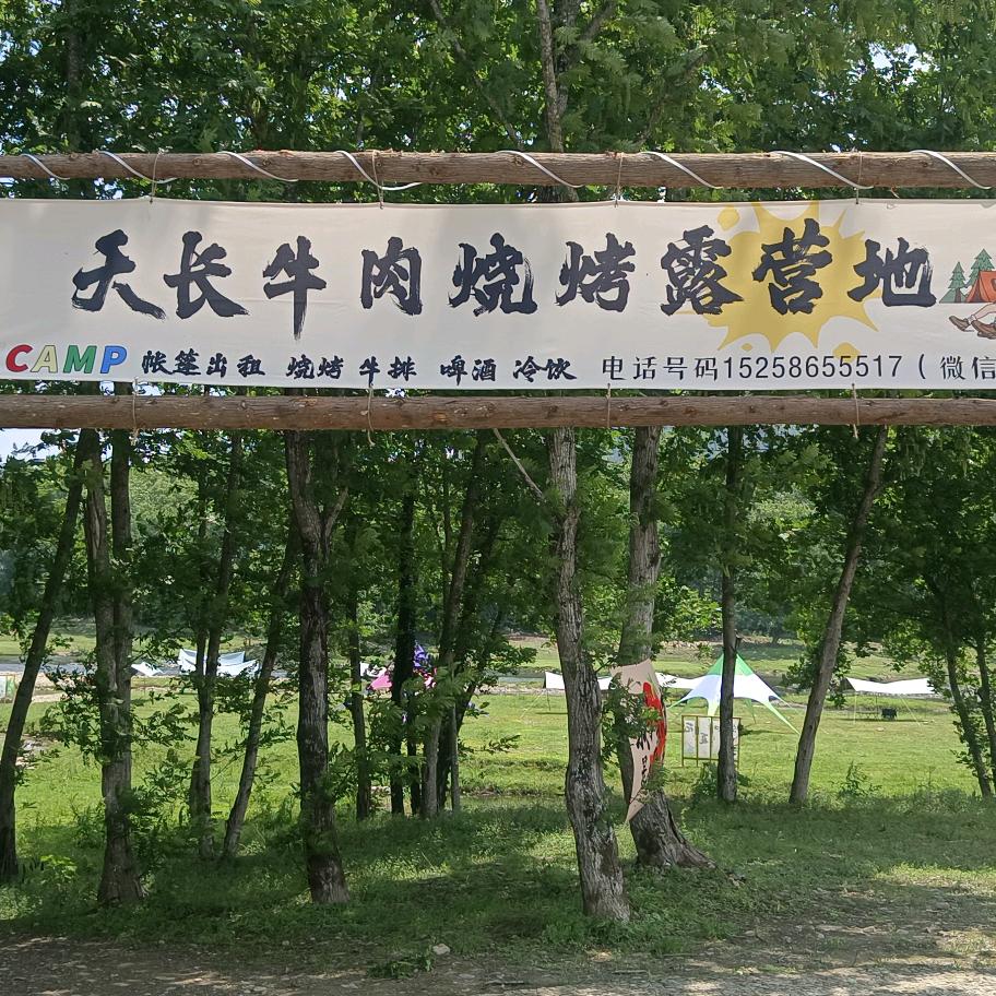 湖岭·天长滩林露营地