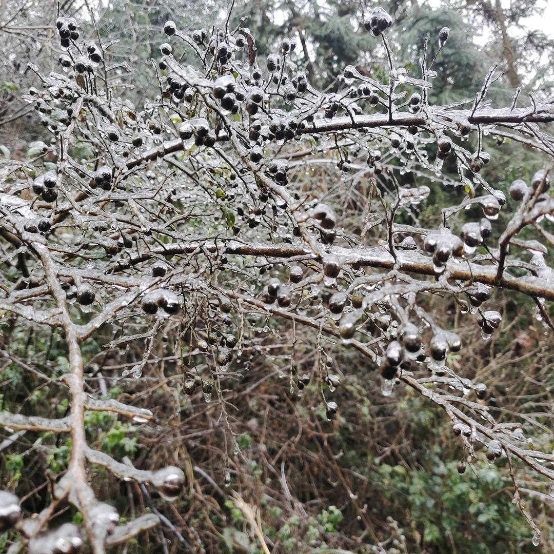 秋天